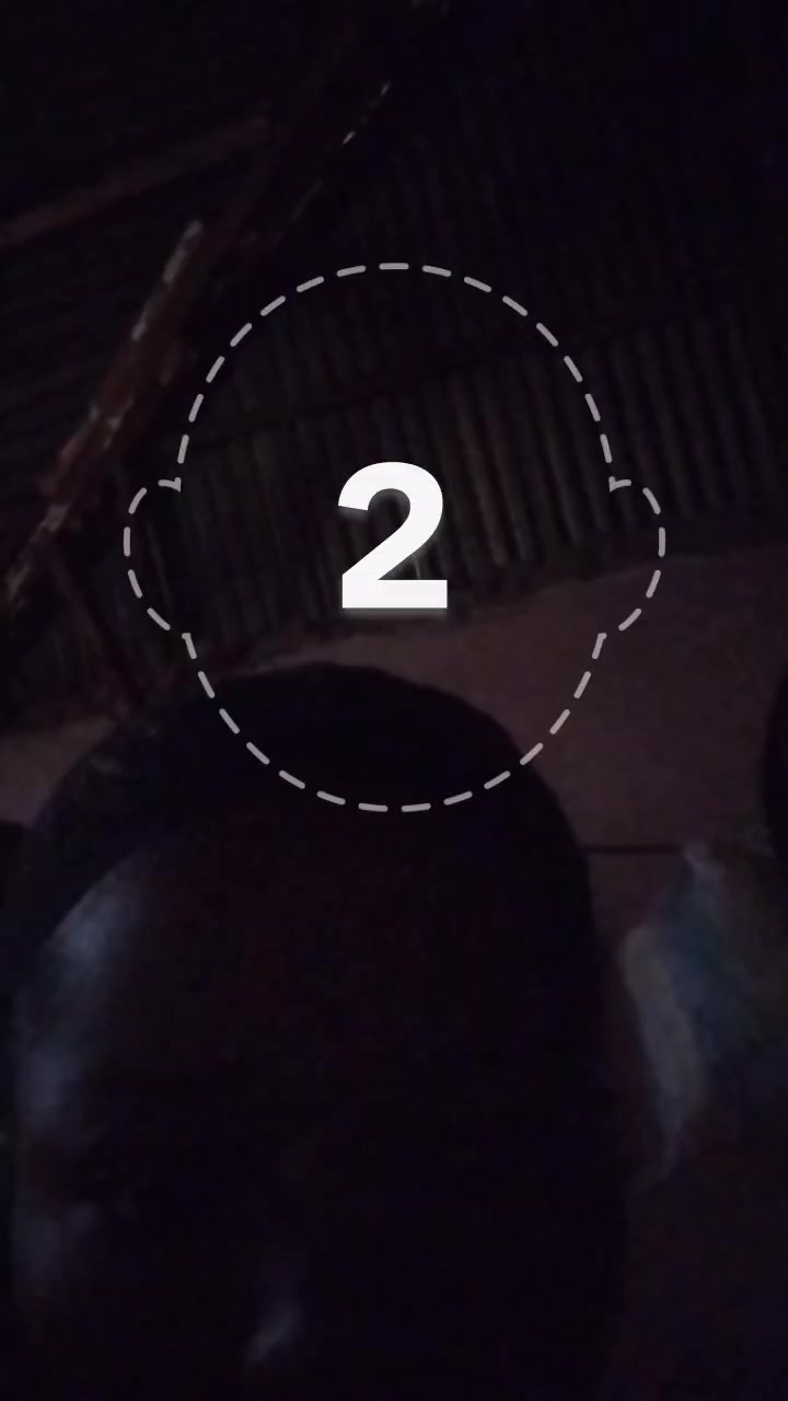 @bernadettealice0