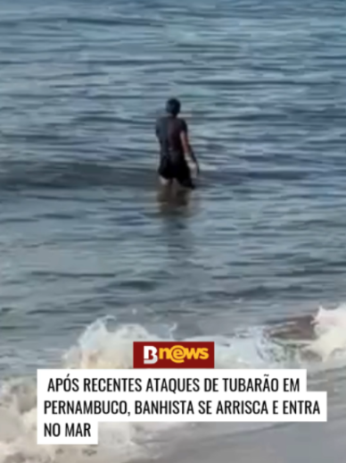 @BNews - Portal de not&iacute;cias