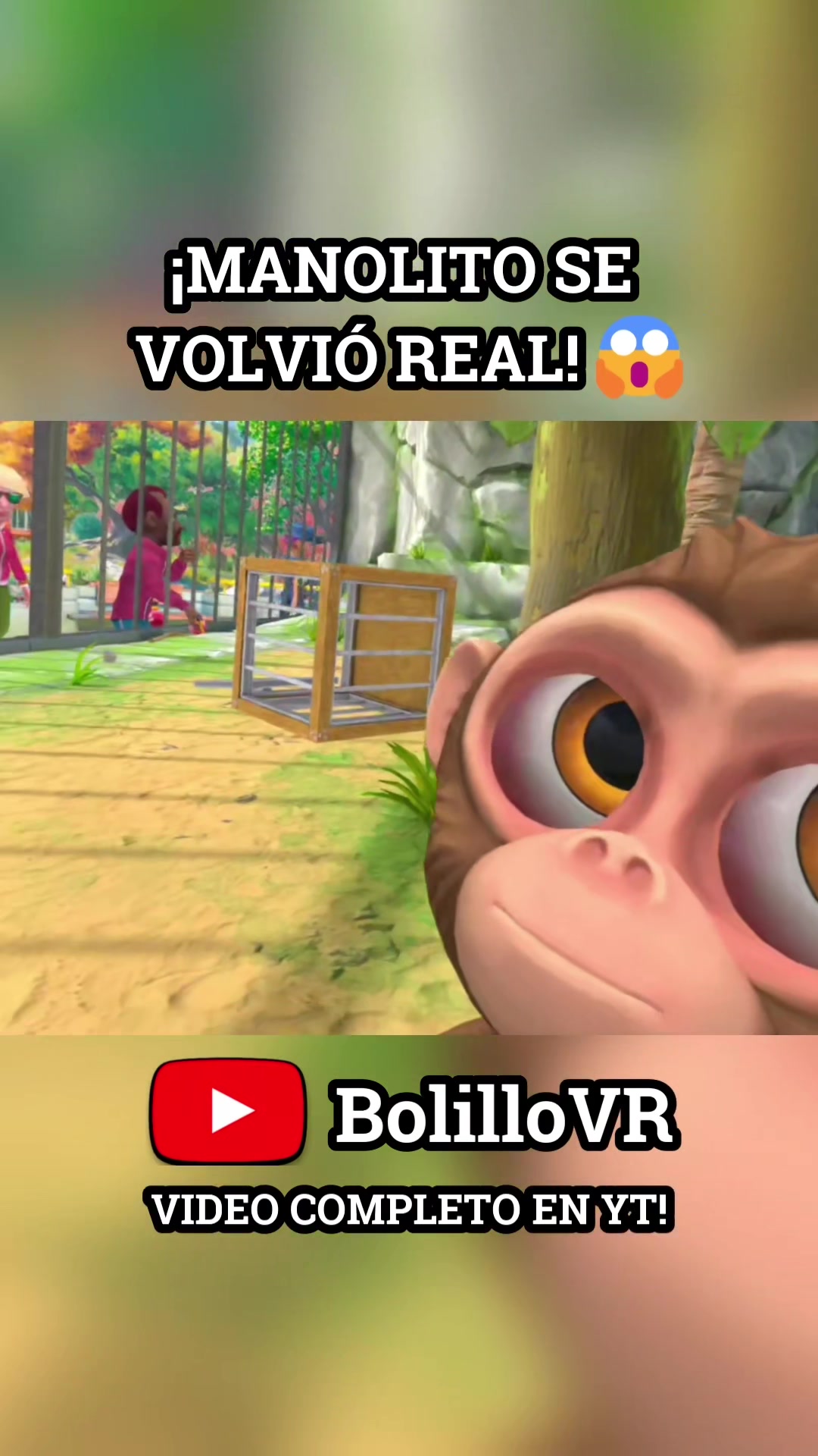 @BolilloVR