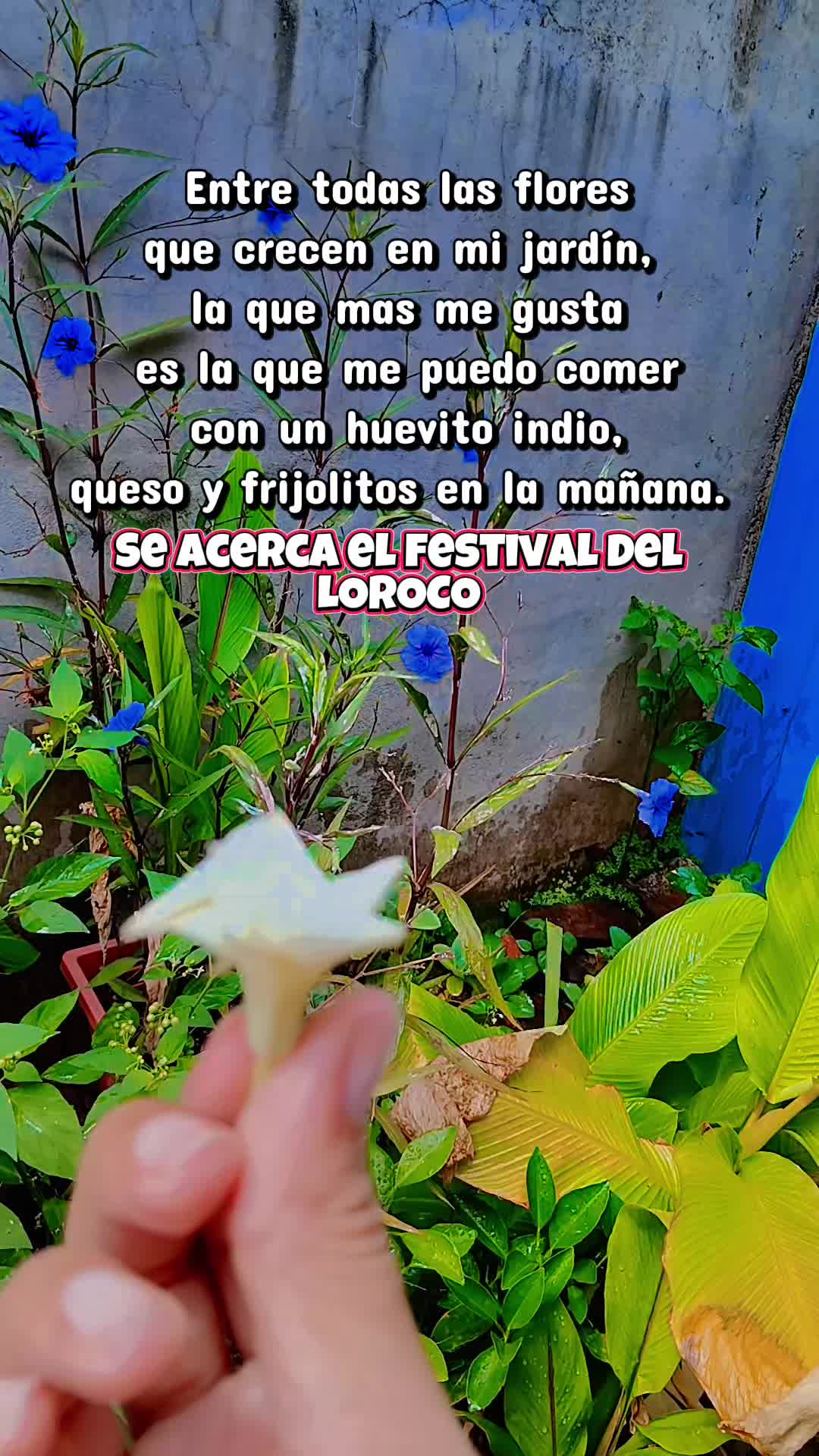 @Viaja y vive 🎈TV