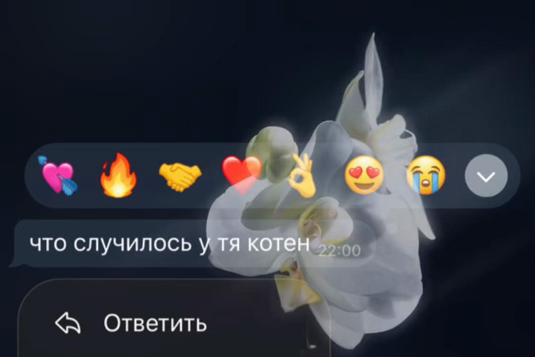 @nikakkk