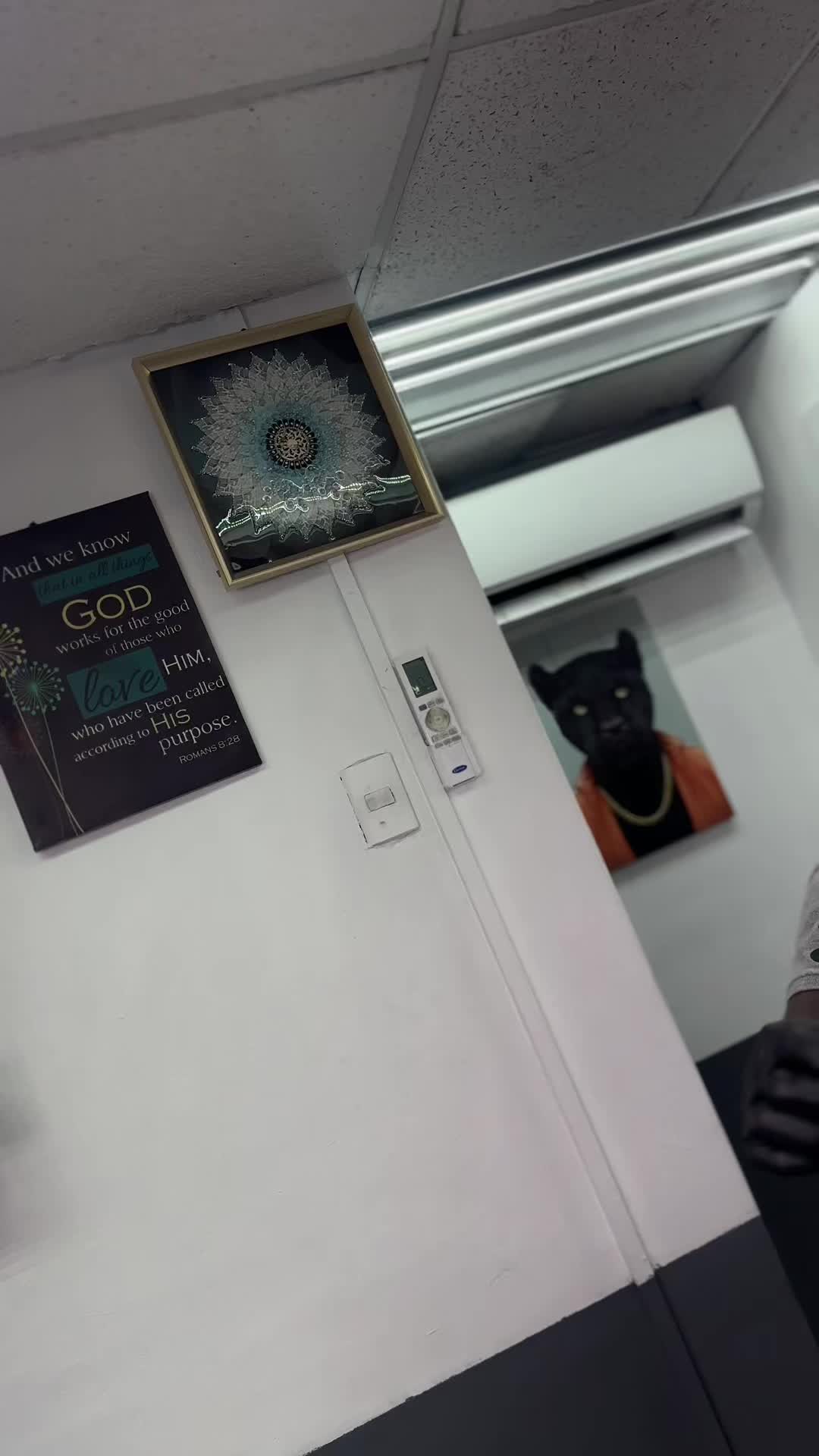 @PROPHET💈