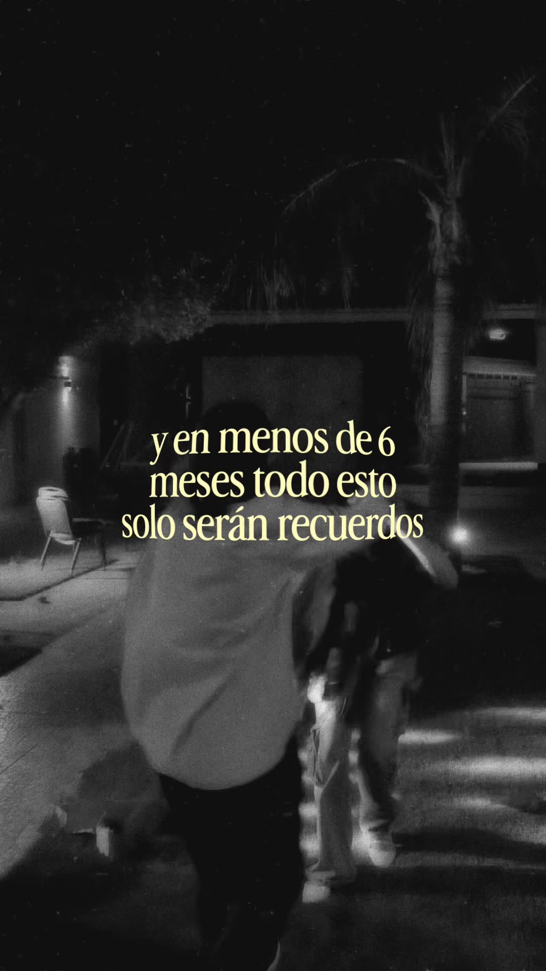 @moy⭑