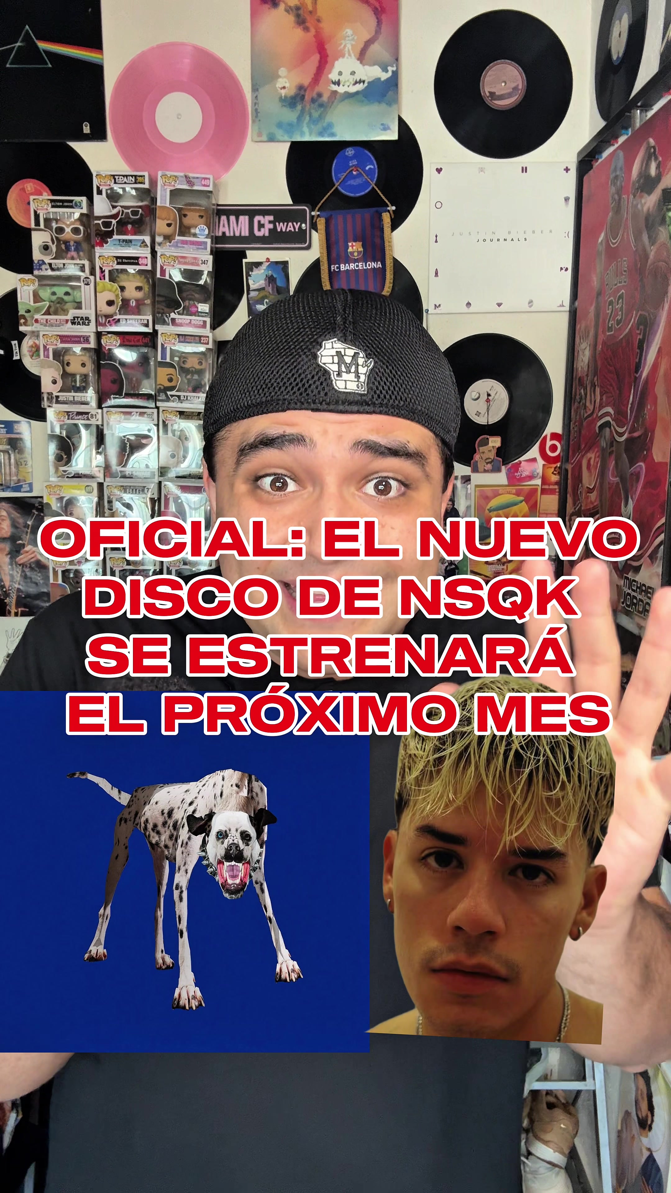 @Alexander Kuri