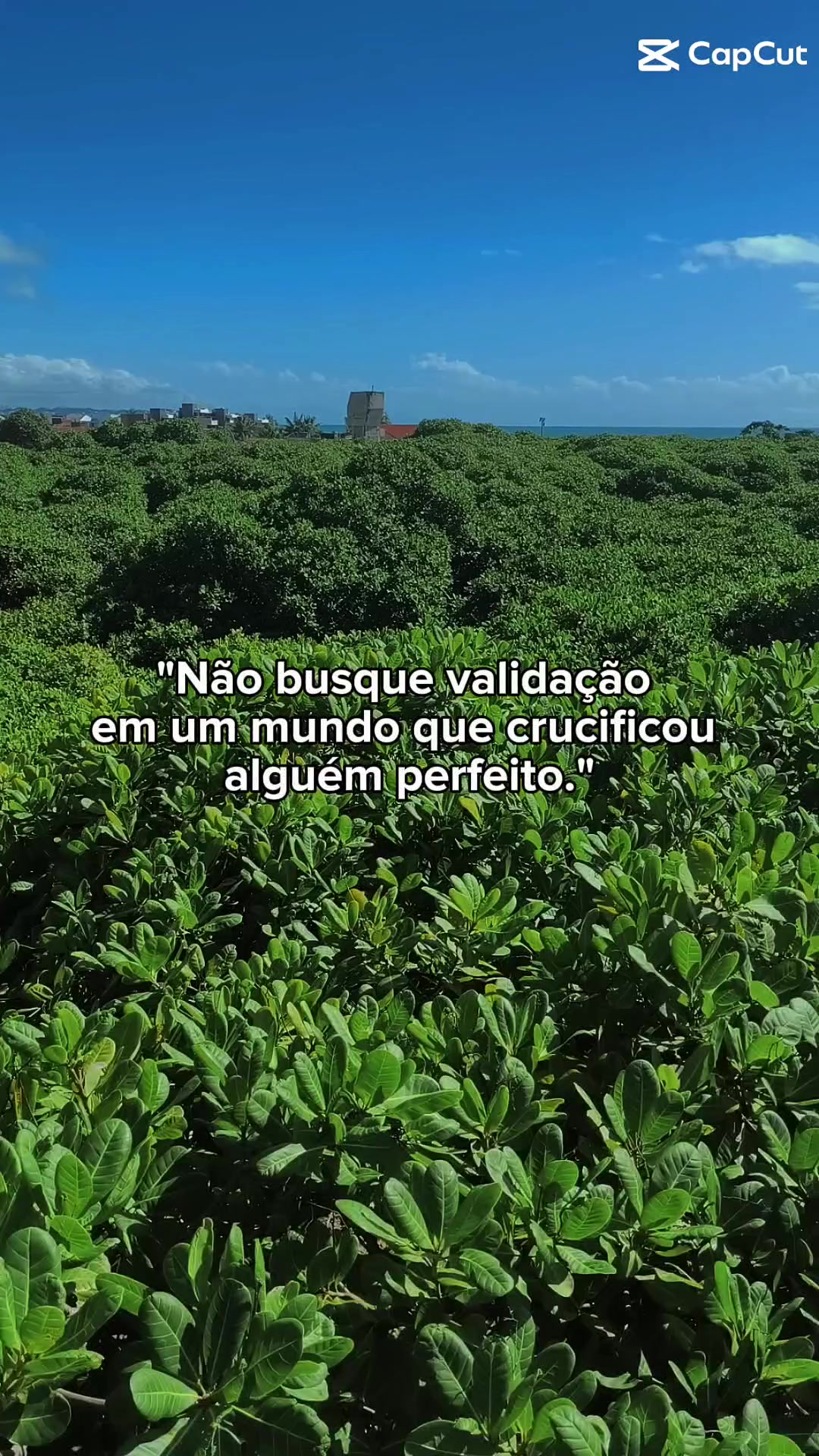 @Bruna Pereira