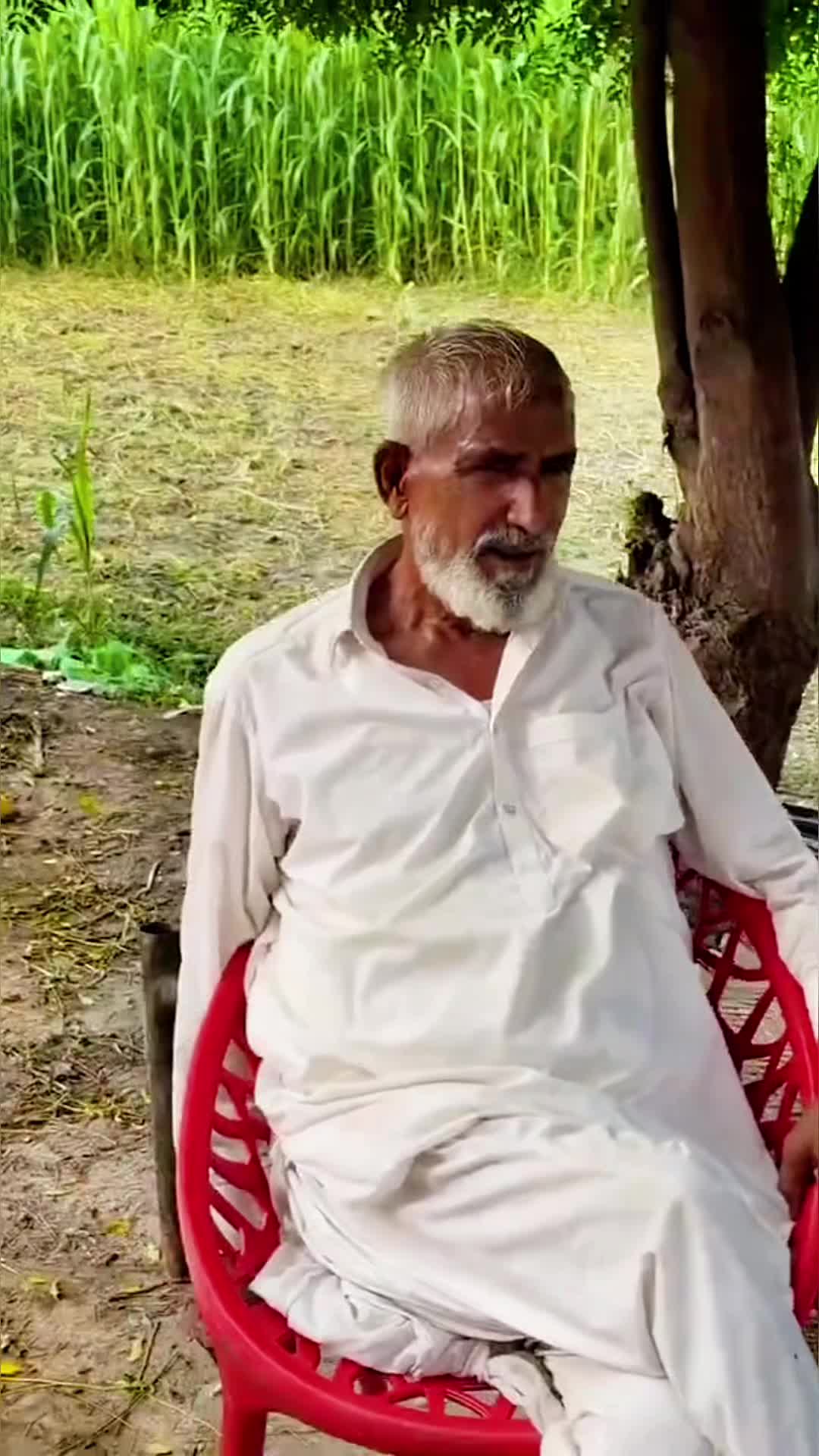 @Waqar Bhinder Dairy Farm