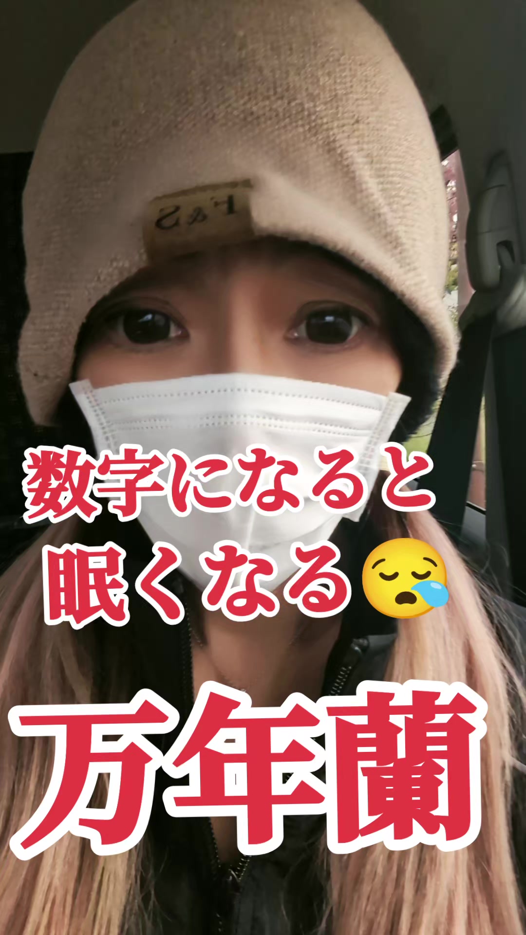 @®️万年蘭🎼︎🤍