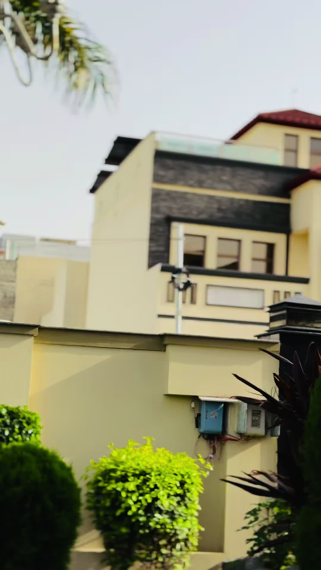 @فصیح بن عامر❤️