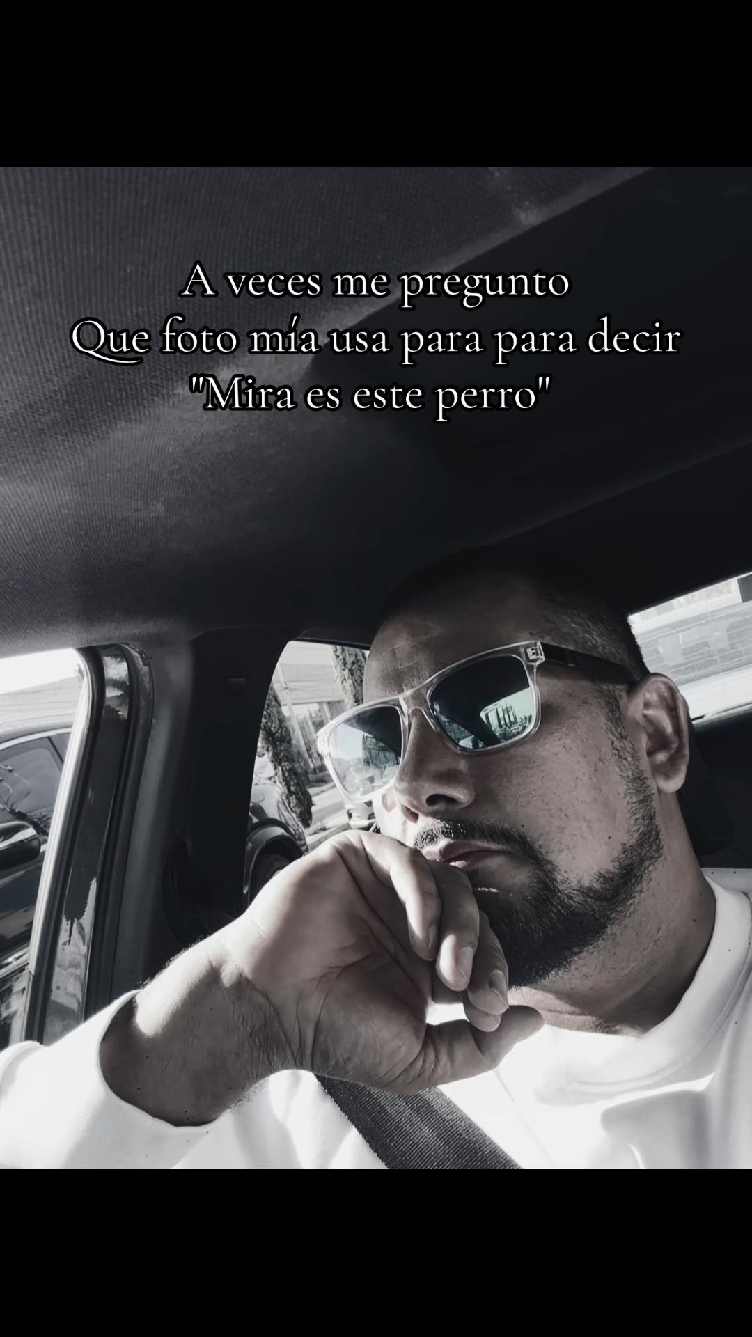 @Mirsha Chamlati