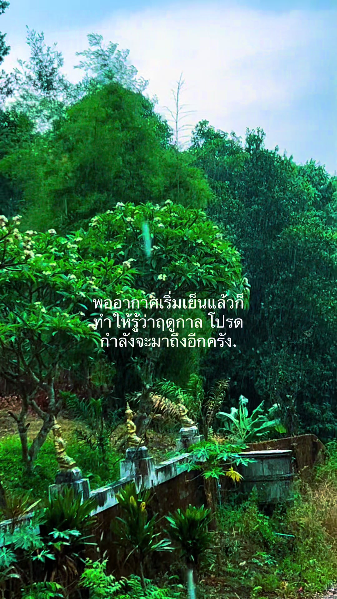 @Samai  Yodkhlangthong
