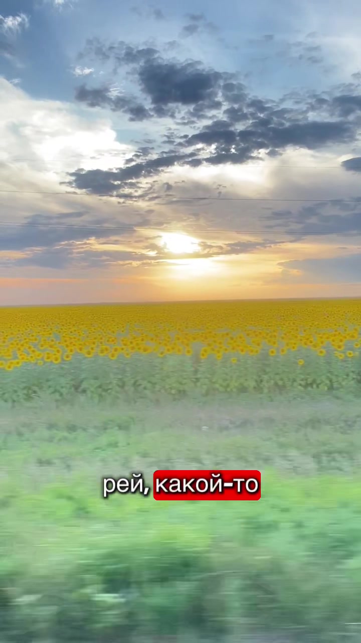 @🄾🄺🅂🄰🄽🄰