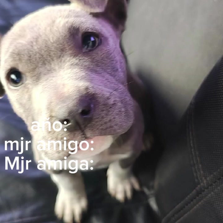 @Deborah Gortari