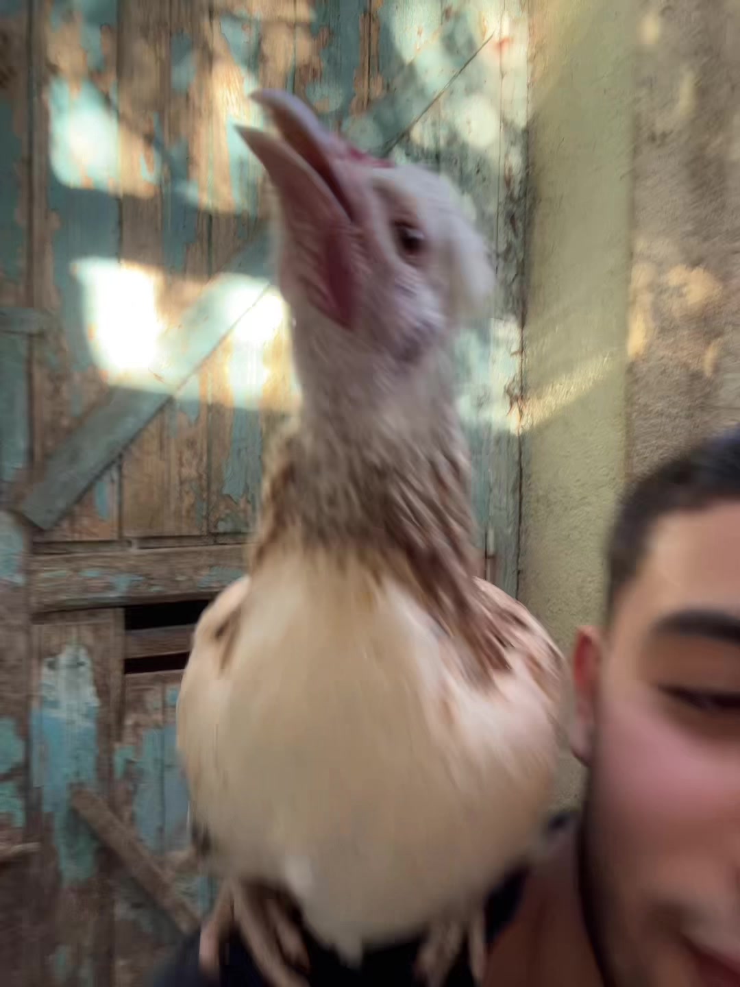 @🇩🇿 CHOOMII 🐦&zwj;🔥