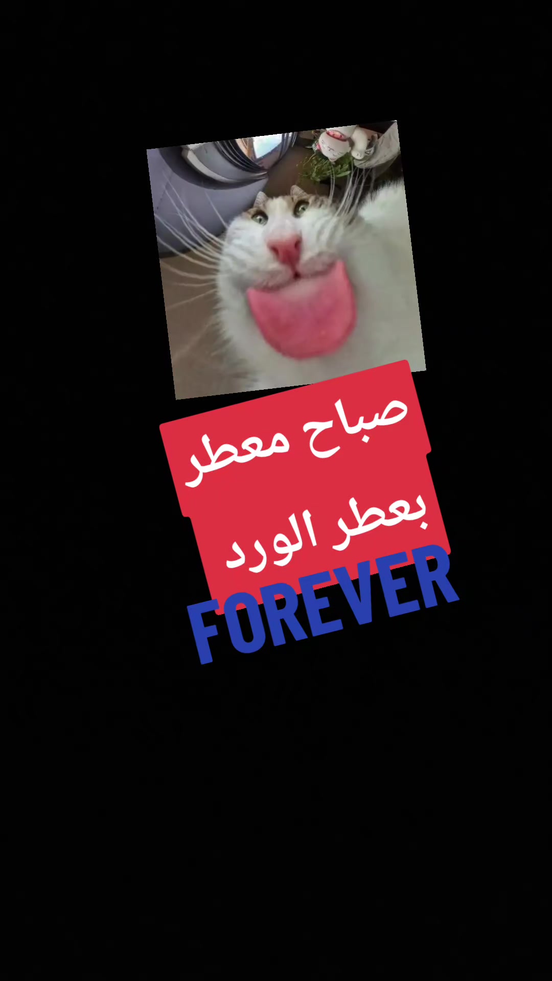 @إلي الأبد