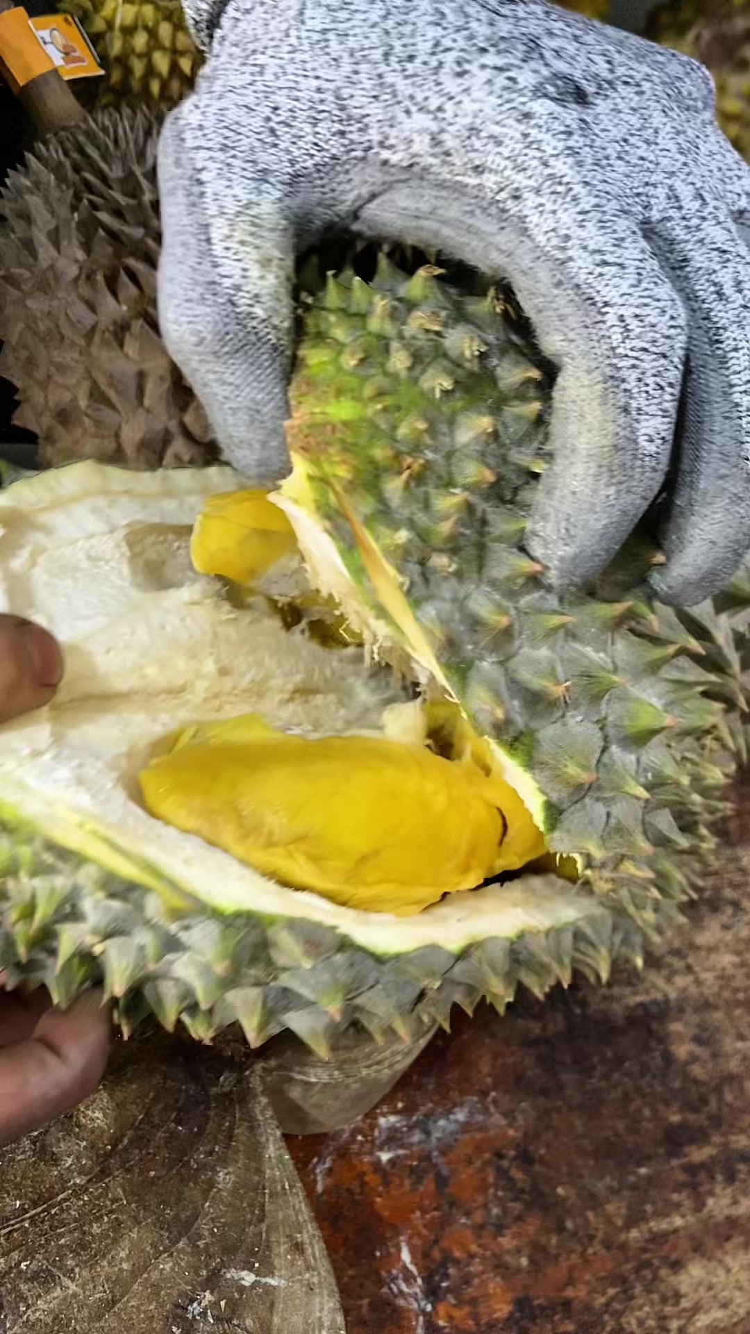 @CICIP DURIAN