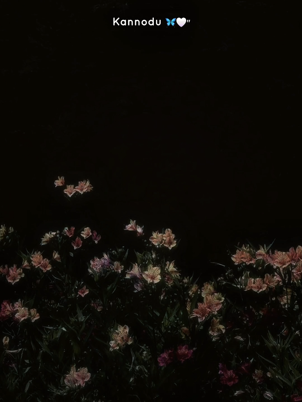 @♡𝐅𝐀𝐋𝐋𝐈𝐍𝐌𝐔𝐒𝐈𝐂♡