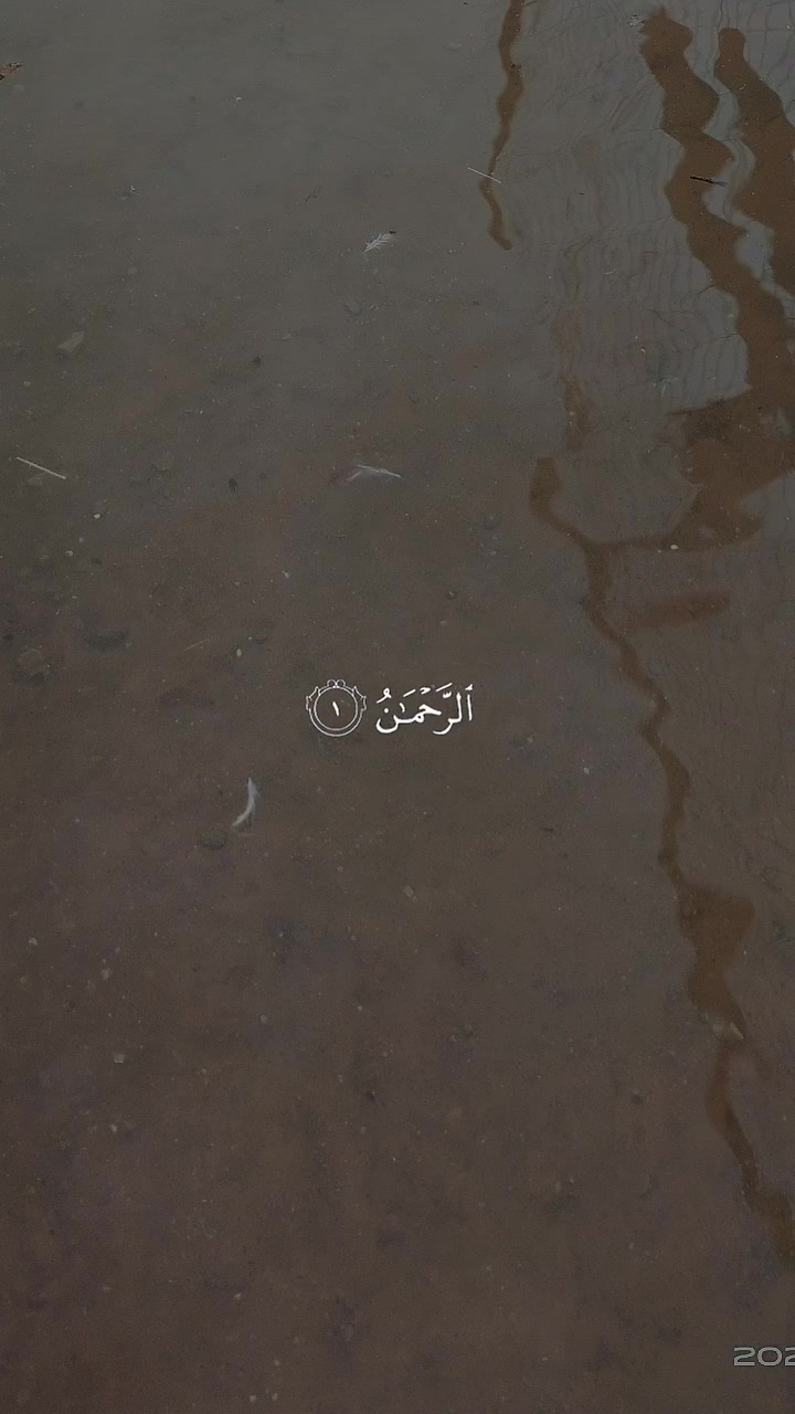 @shankhan