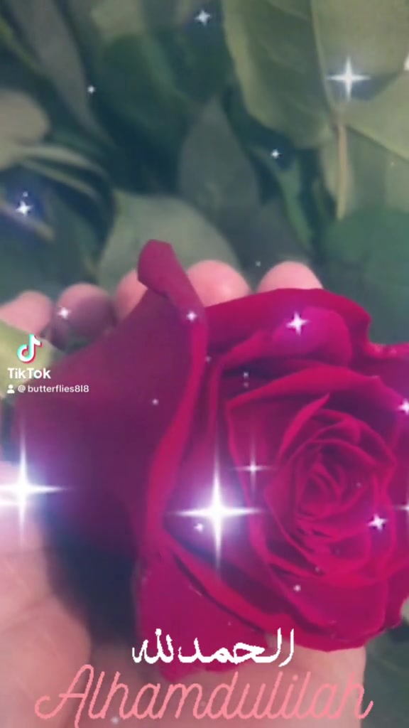 @786ami786