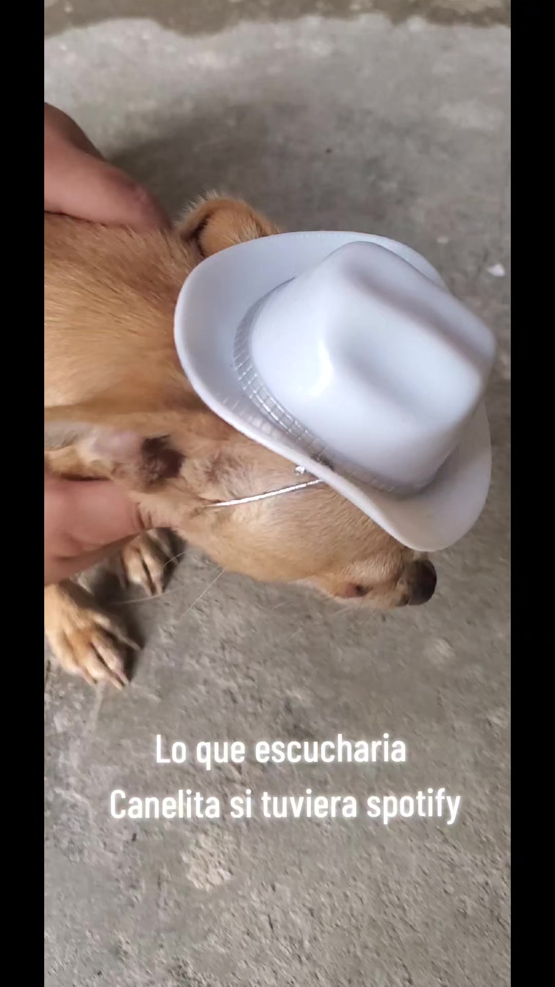 @RuBi