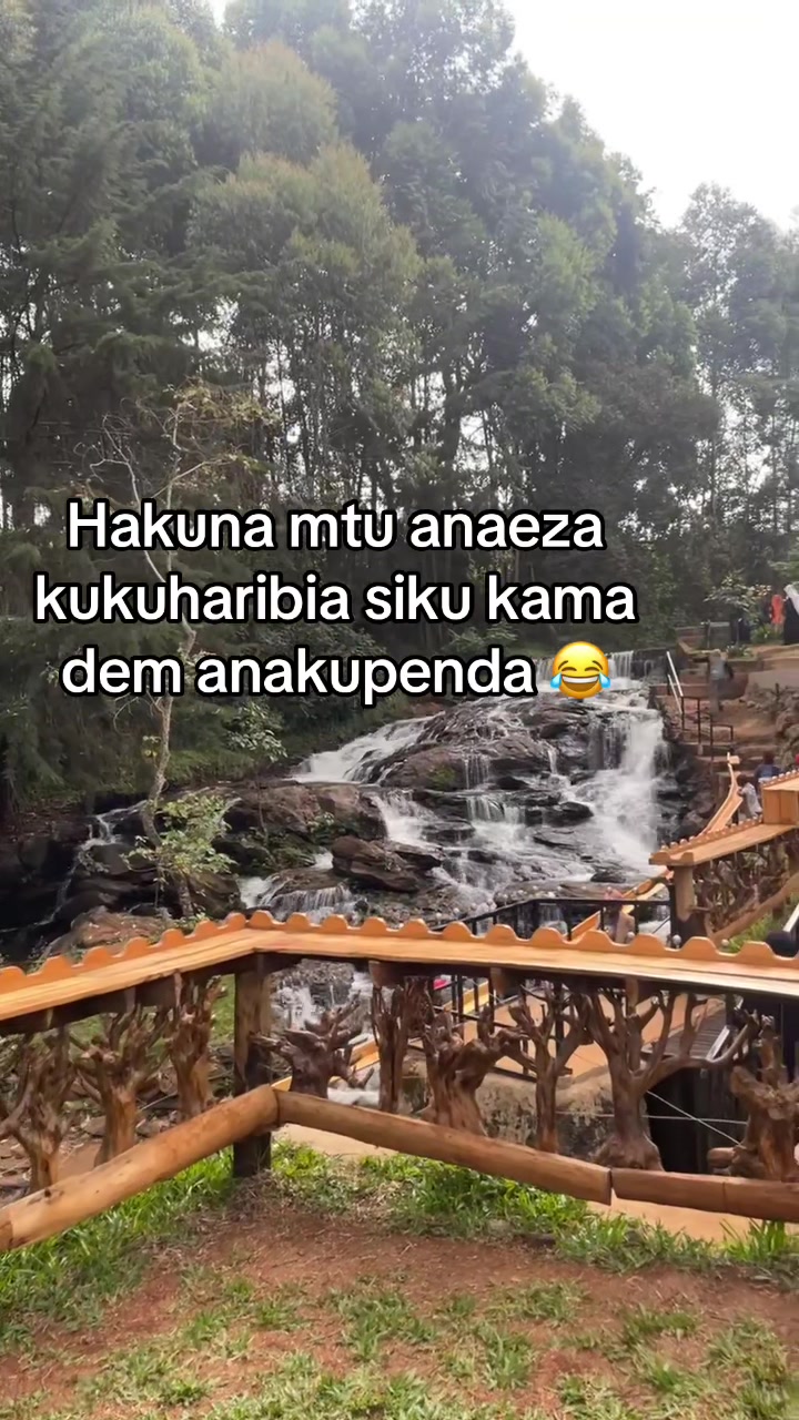 @vibez.35