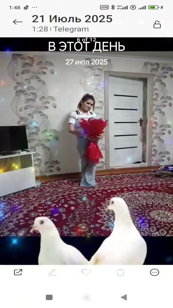 @VOLVA