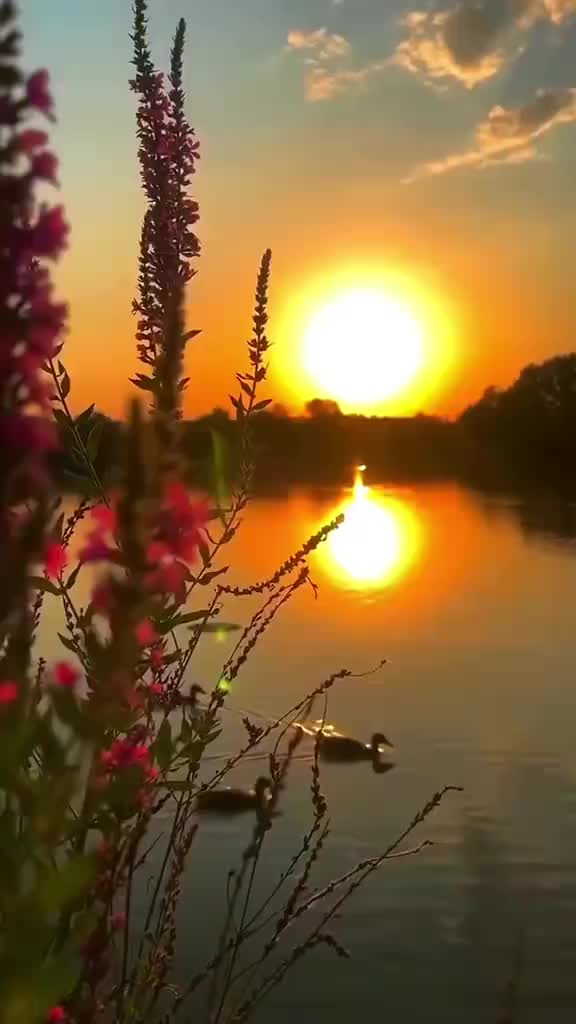 @любимые мелодии друзья