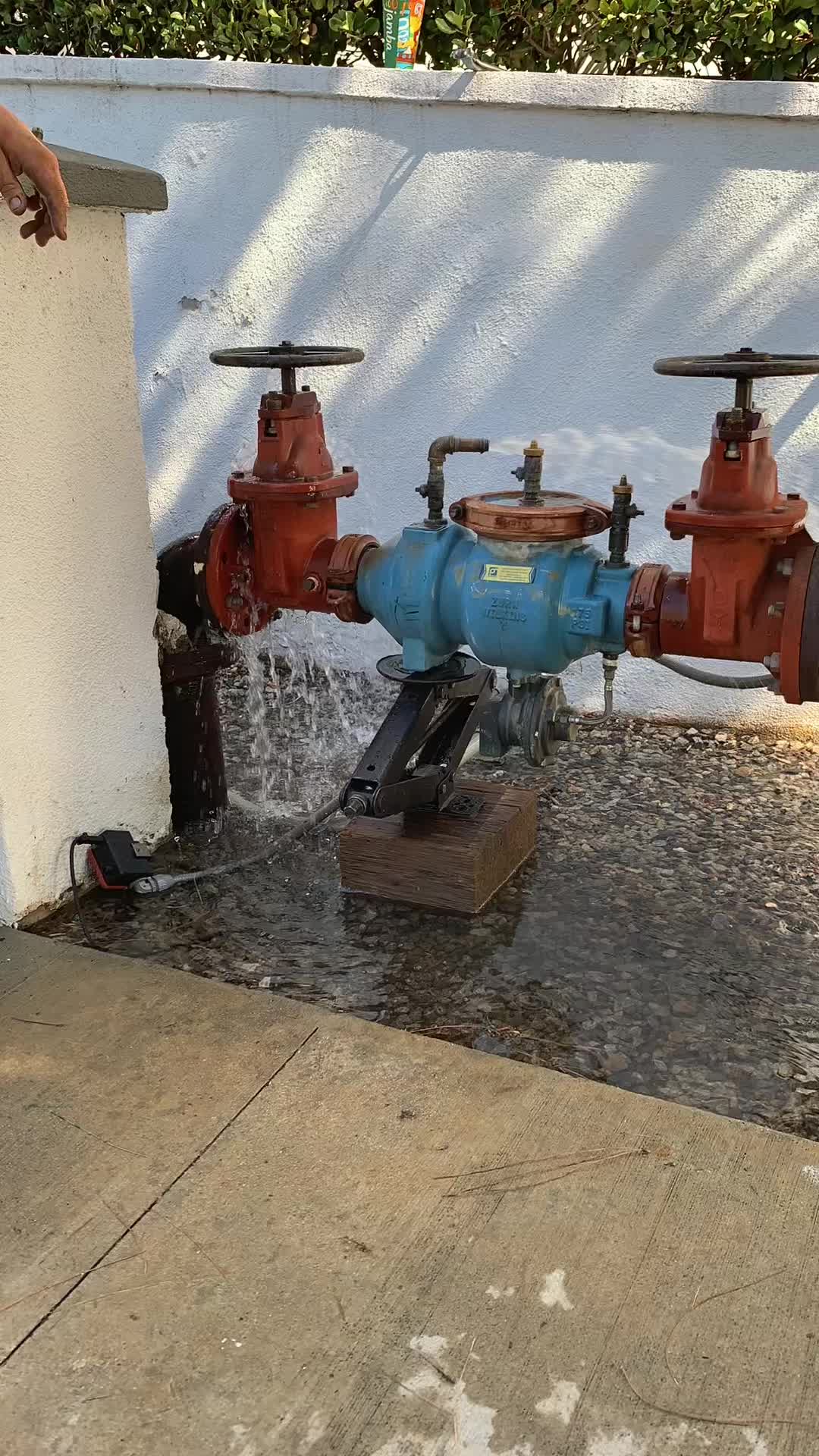 @the_backflow_bro