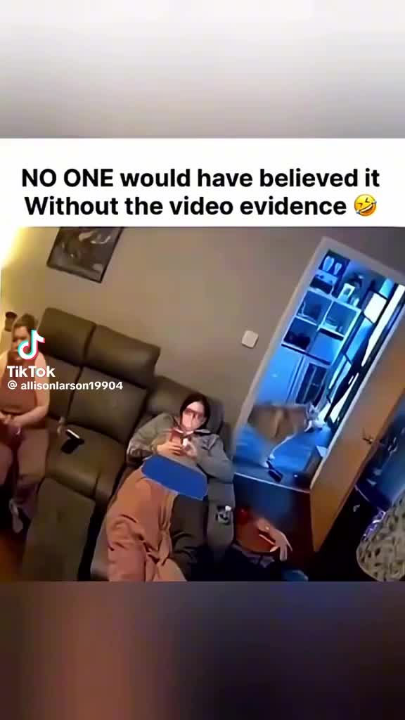@Cam2416
