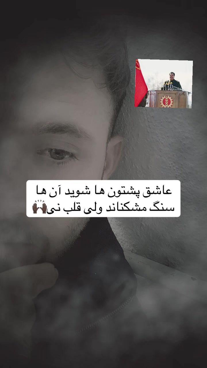 @MEF