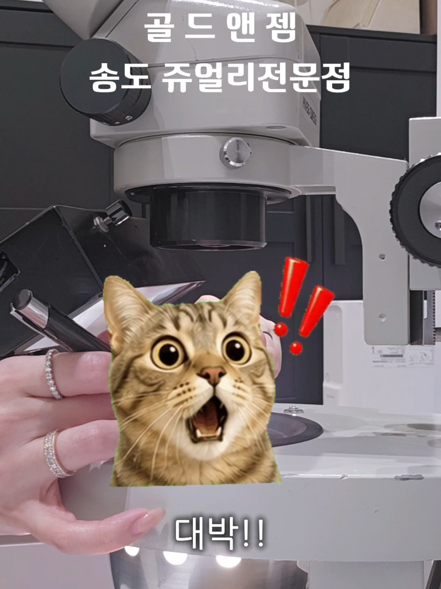 @골드앤젬쥬얼리전문점