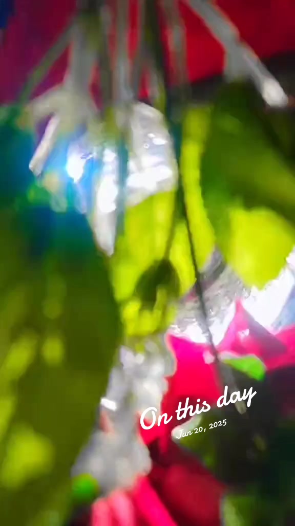 @saddamazmi61.62