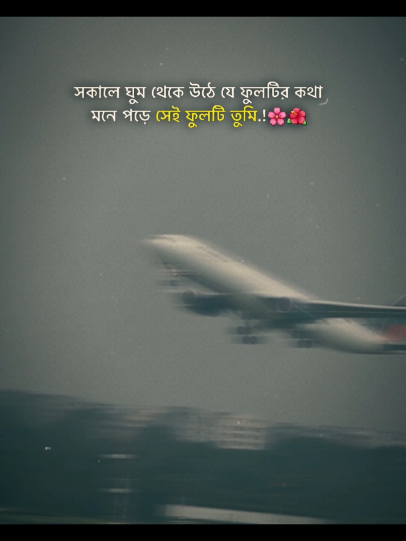 @꧁❤️ ♡⸝⸝ রোমান্টিক মারুফ⸝⸝♡❤️꧂