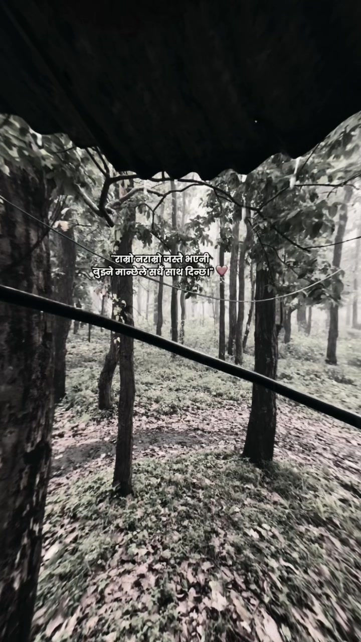 @🕊️