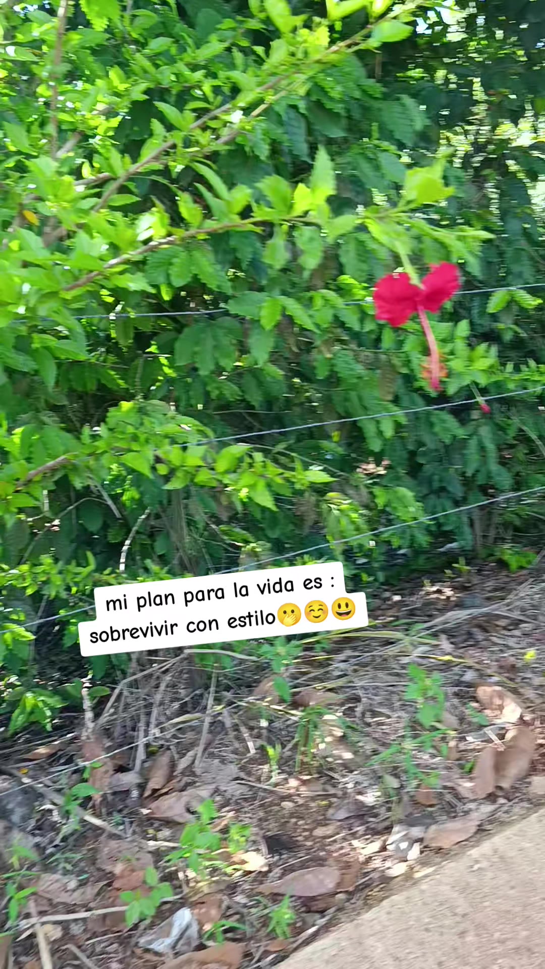@Flor 🌸