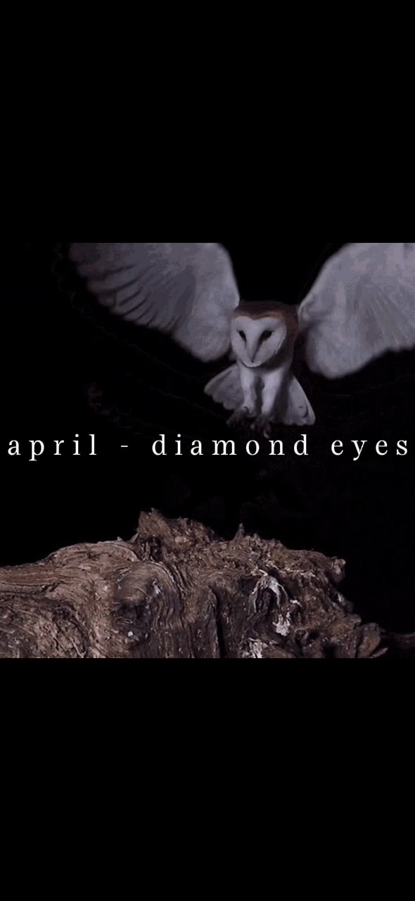 @deftones