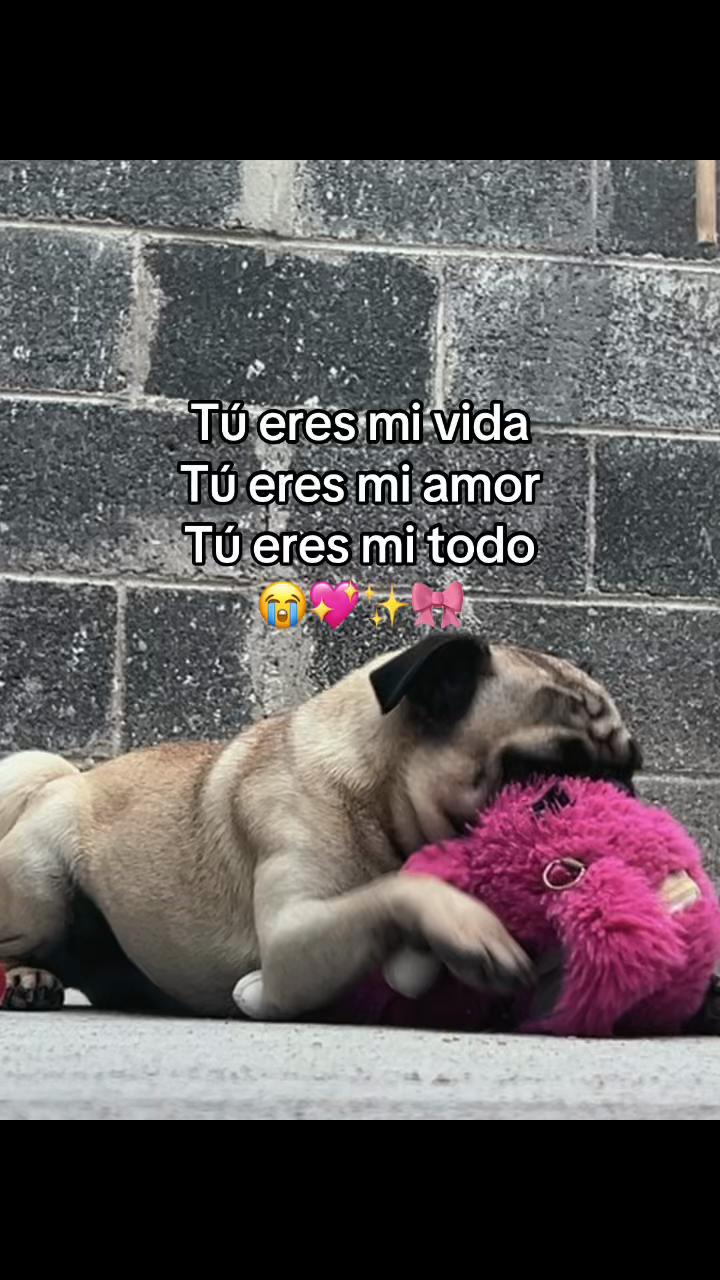 @Yamileth🪐🎀🧸