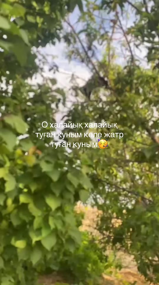 @𝓩𝓮𝓴𝓼𝓮𝓷𝓫𝓪𝓮𝓿🤍💚