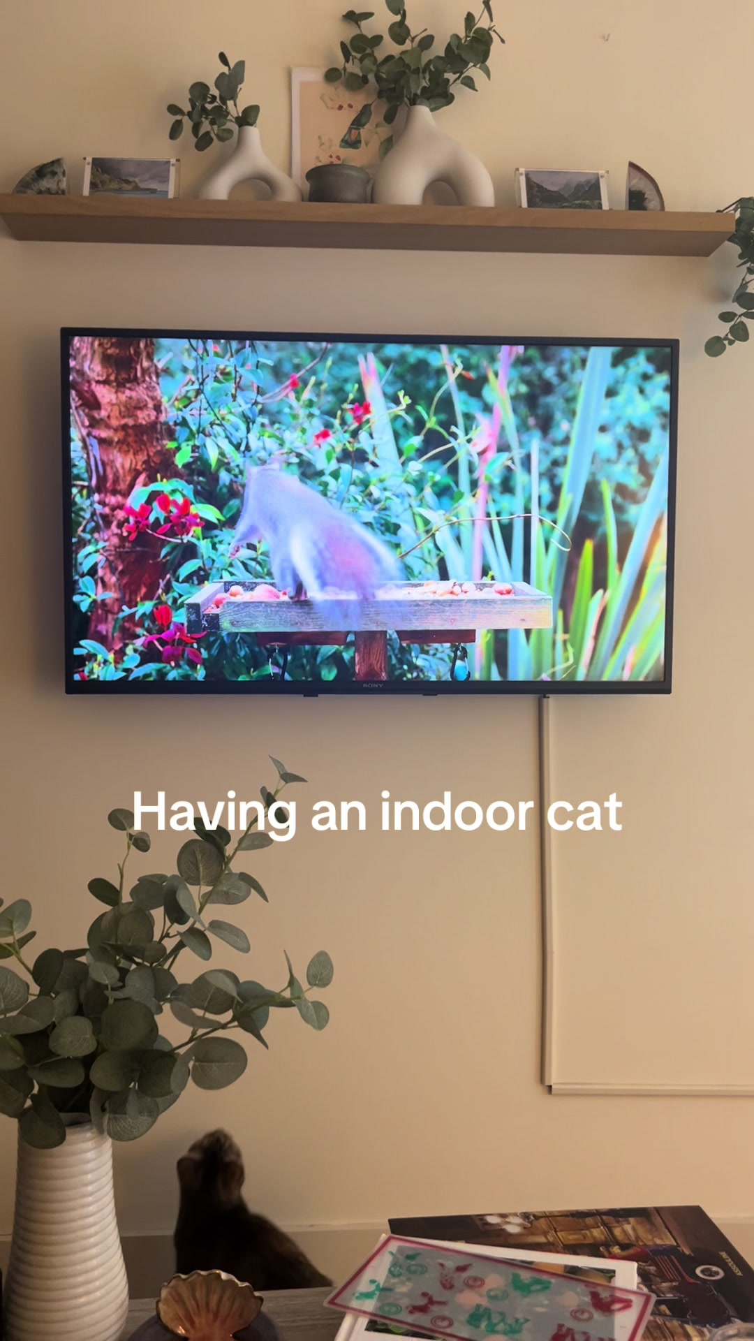 @Kunji the Kitty