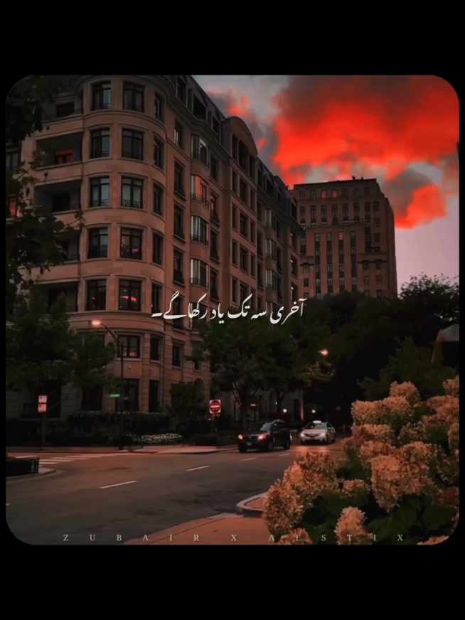 @𝙕𝙐𝘽𝘼𝙄𝙍 𝙓 𝘼𝙀𝙎𝙏𝙄𝙓🎧