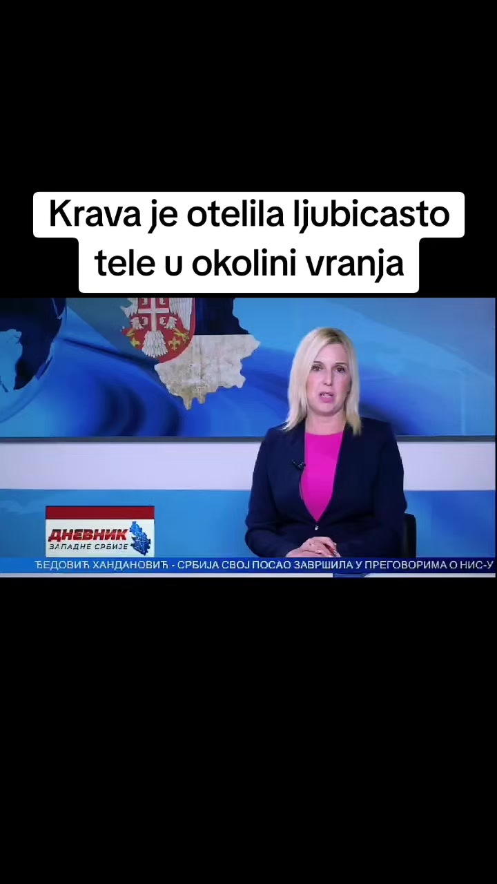 @BABAJAGA