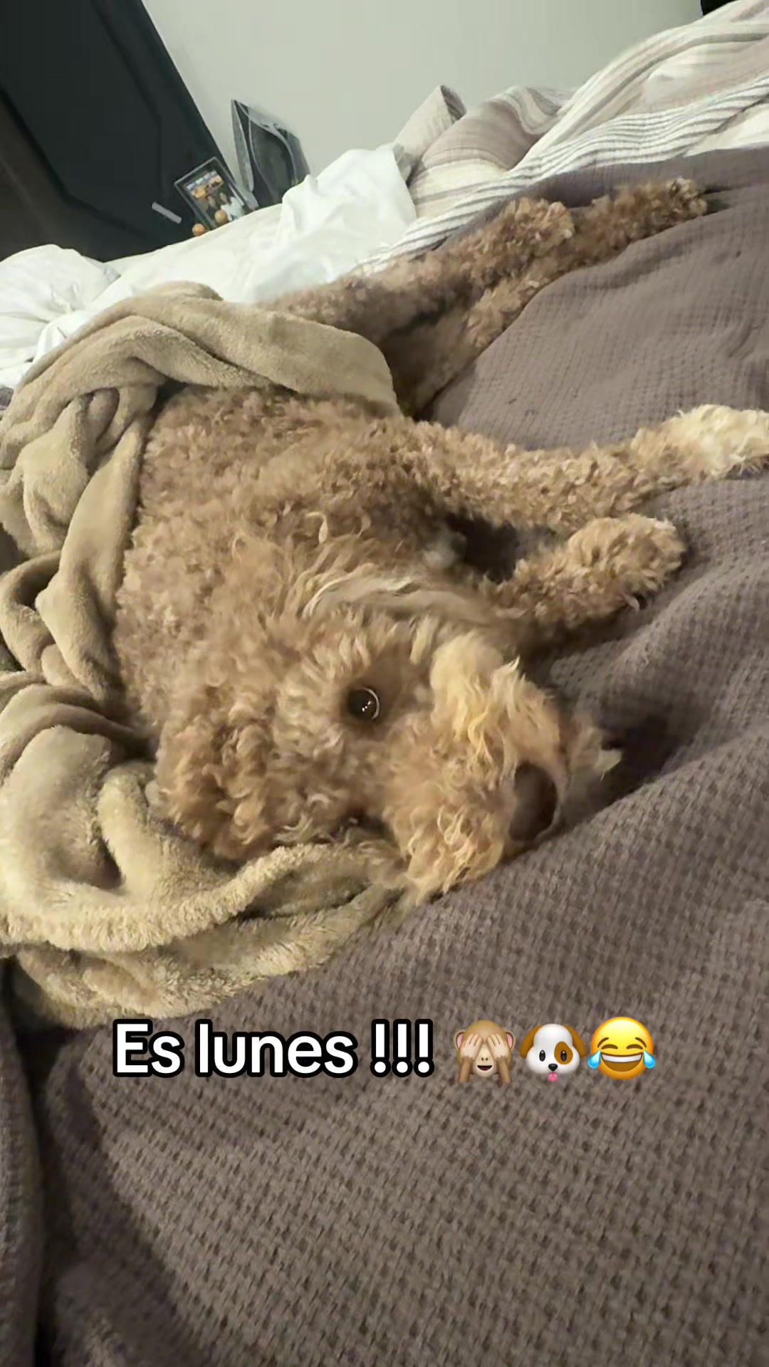 @LettyMartinez76😃💙