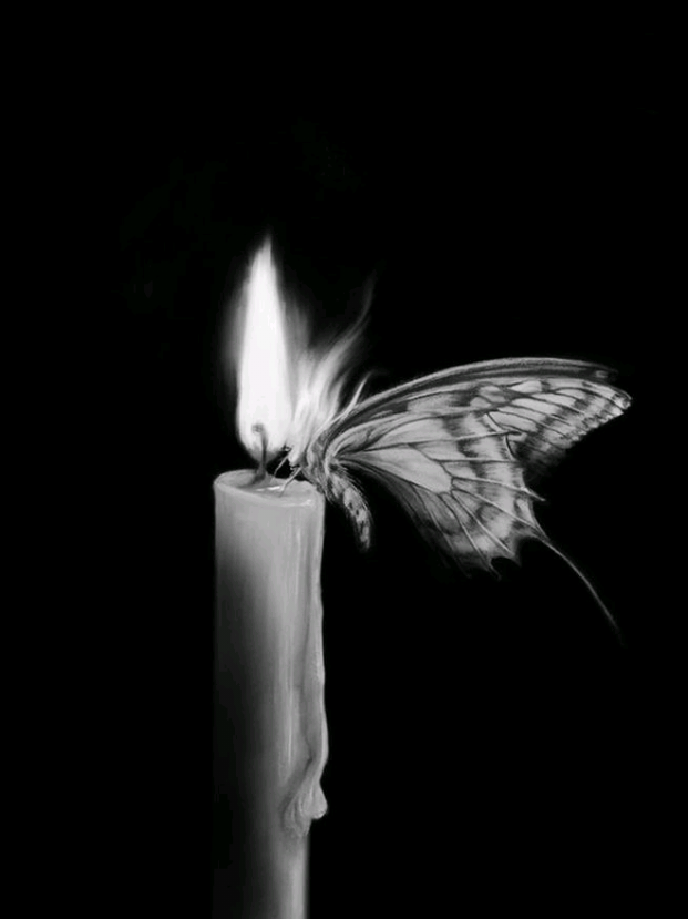@فَٰالِيـٰ⋆ـرْيـٰـا