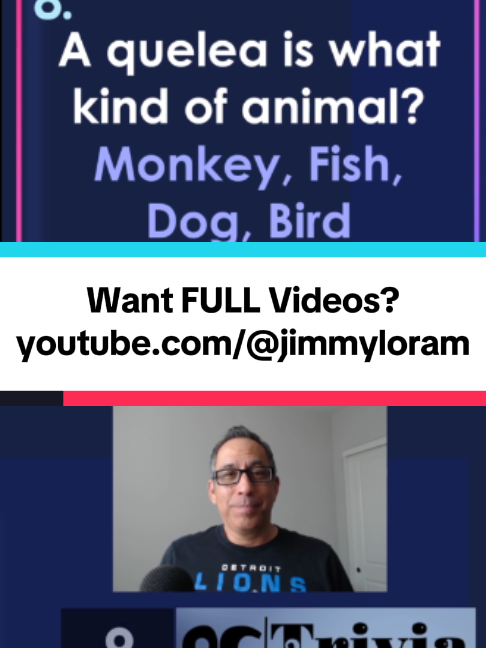 @Play Trivia on TikTok!