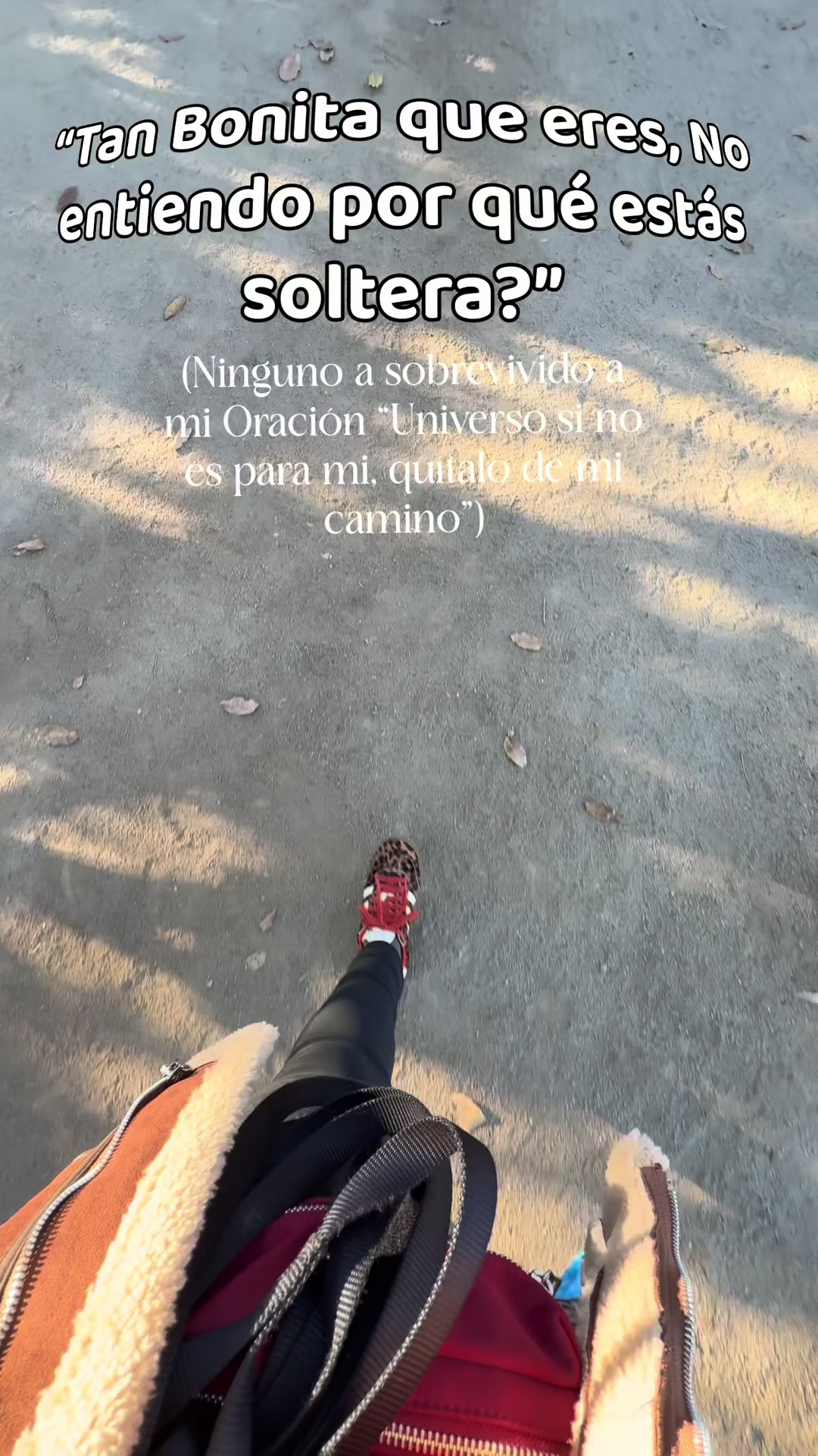 @Fernanda Alcayaga