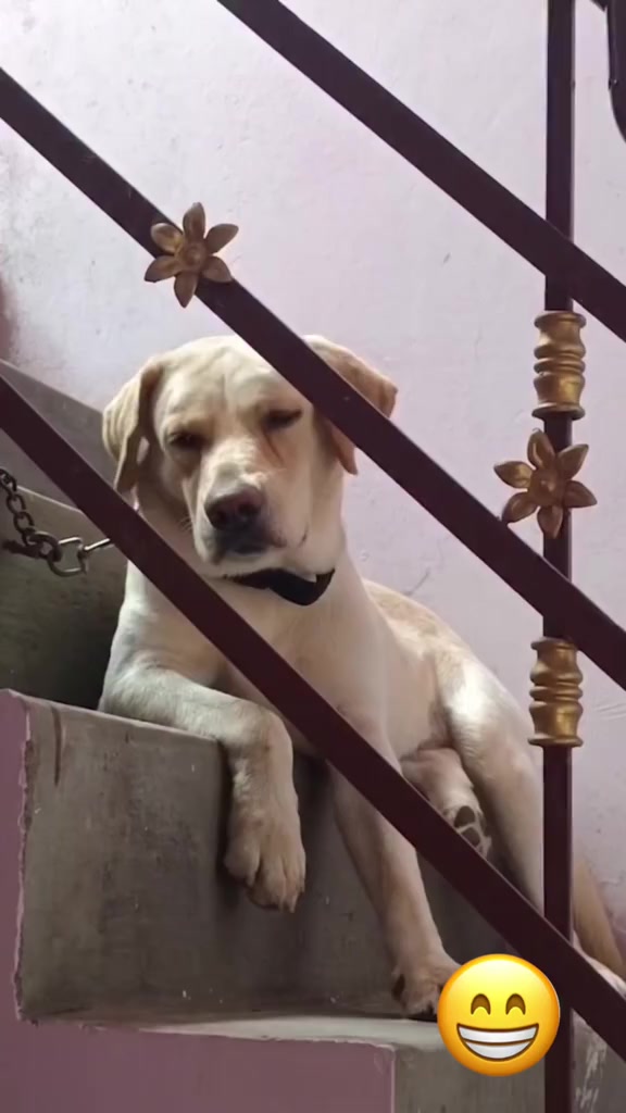 @Puthuvai Aru குமரிக்கண்டம்