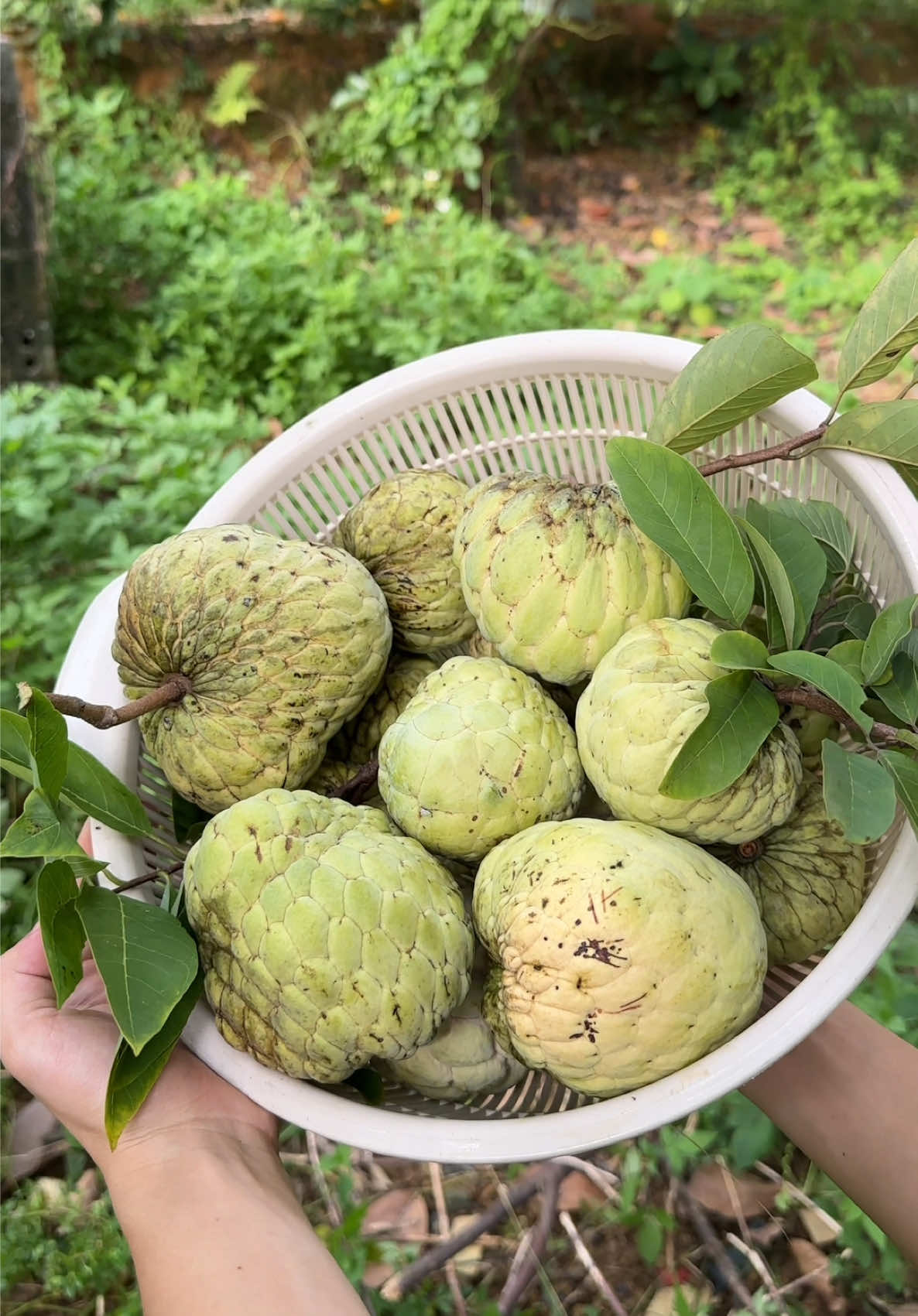 @Tiểu M&agrave;n Thầu