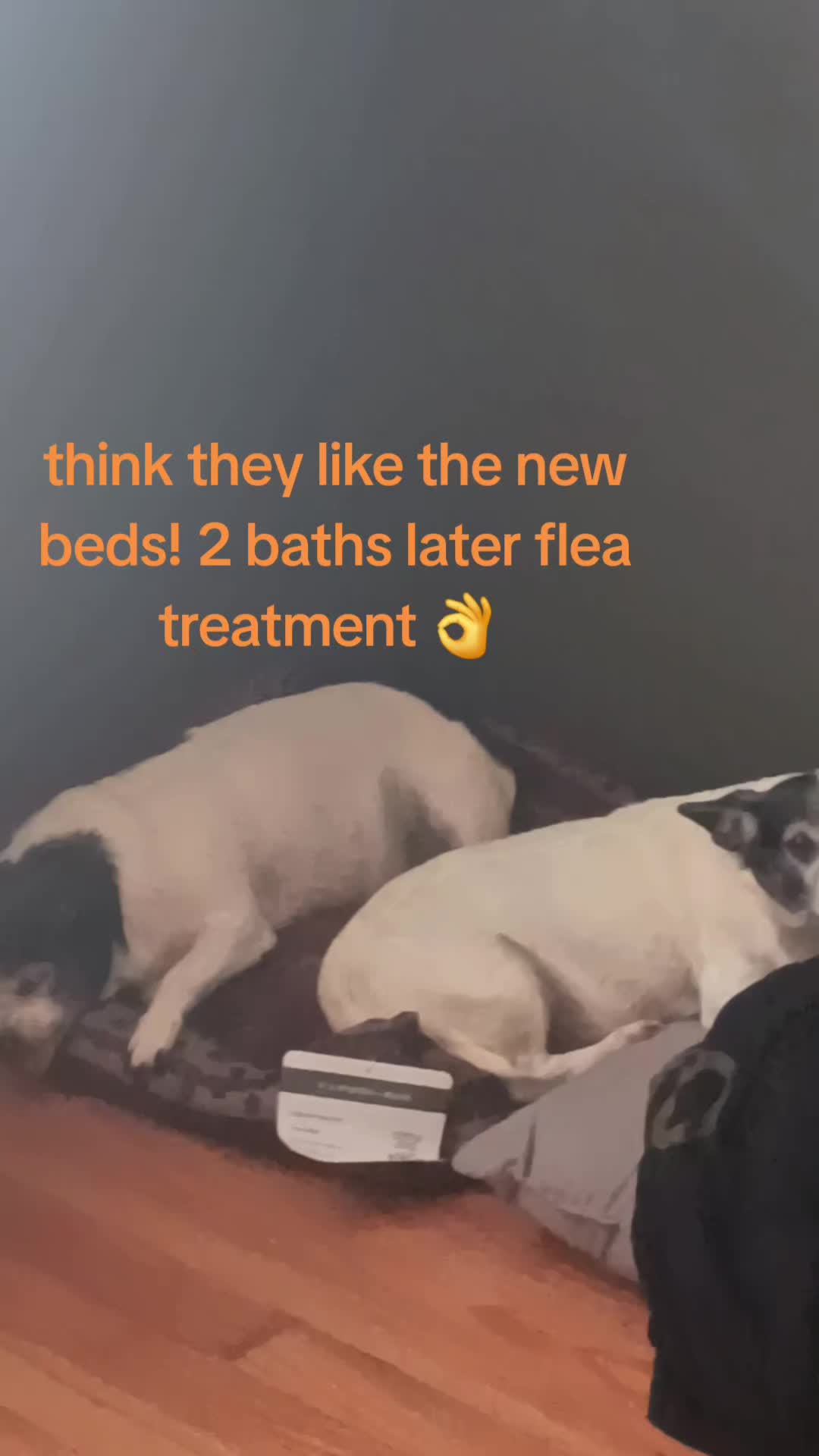 @Lisa
