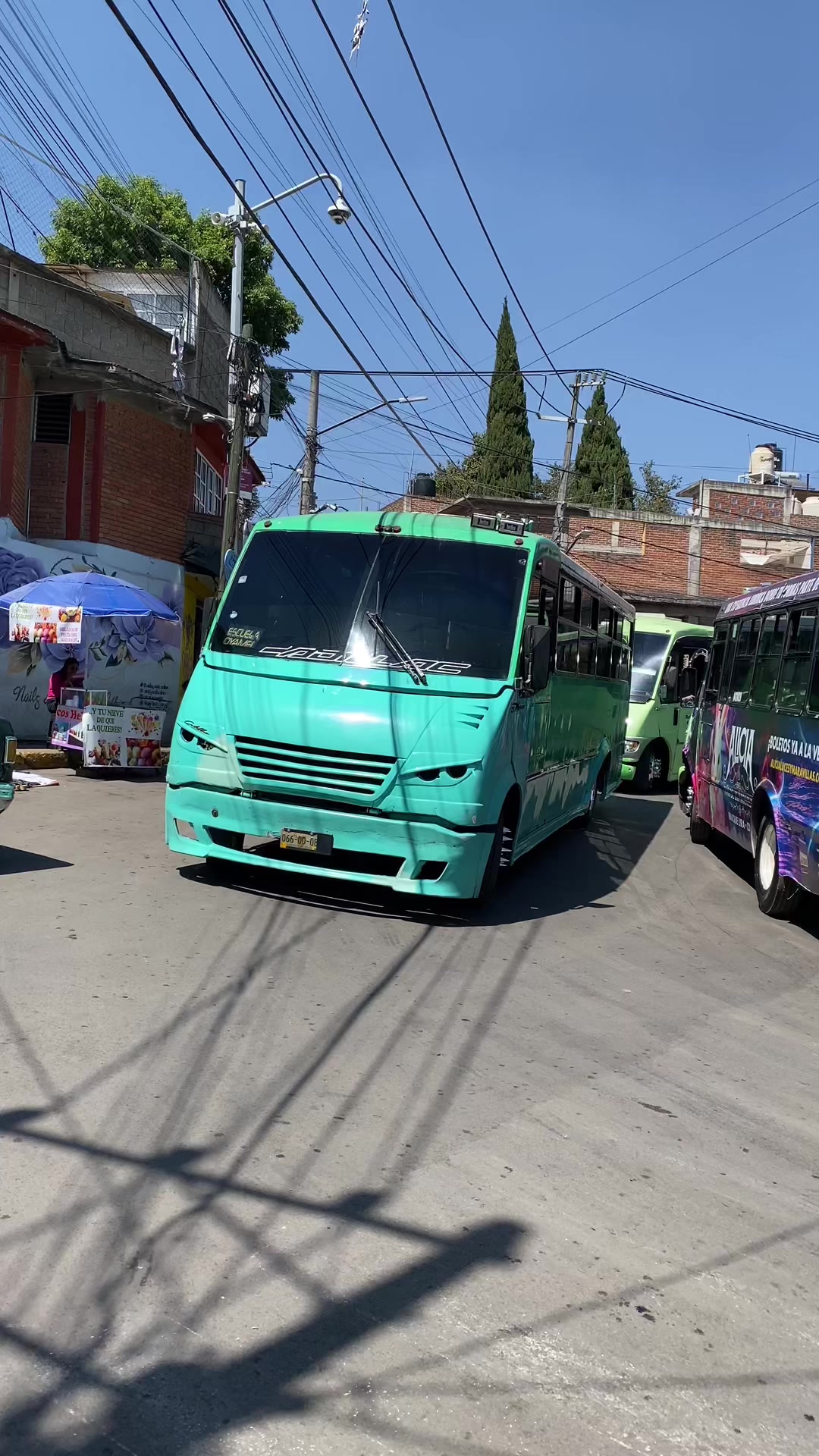 @BUSES ELEGANTES.🔥