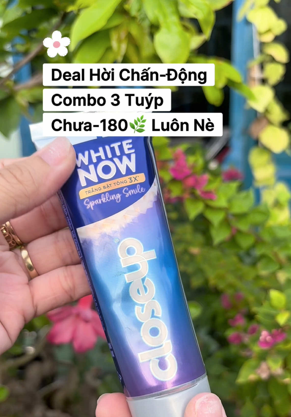 @Hong Hoa Le