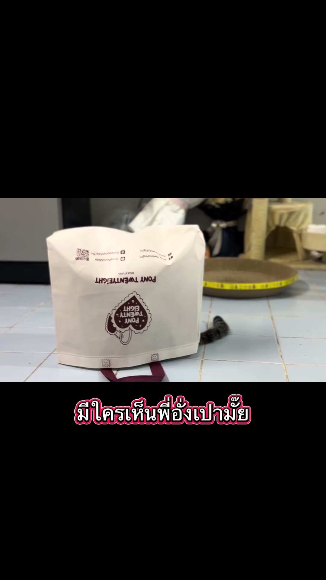 @กอออออ เก๋ 🍃👩&zwj;🏫